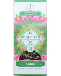 Ivan tea with mint