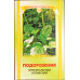 Groblad